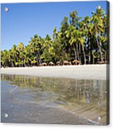 A Beautiful Tropical Beach With Palm Acrylic Print