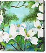 A Branch Of Dogwood Acrylic Print