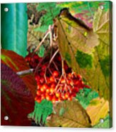A Collage Of Fall Leaves And Berries Acrylic Print