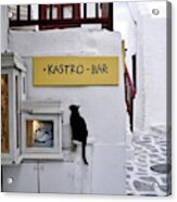 A Curious Cat In Mykonos Acrylic Print