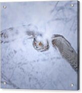 A Eurasian Eagle-owl Is Seen On Snowy Days Acrylic Print