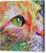 A Ginger Cat Named Jelly Acrylic Print