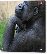 A Gorilla Sits In A Thinking Position Acrylic Print