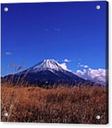 A Japanese-pampas-grass Field And Mt Acrylic Print