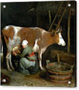A Maid Milking A Cow In A Barn Acrylic Print
