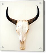 A Picture Of An Animal Skull On A White Acrylic Print