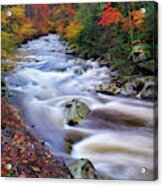 A River Runs Through Autumn Acrylic Print
