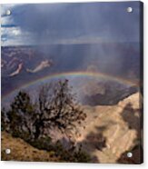 A Tree Under A Rainbow In The Grand Canyon Acrylic Print