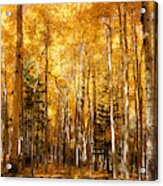 A Walk In The Autumn Gold Acrylic Print