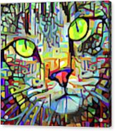 Abstract Modern Art Tabby Cat Acrylic Print