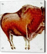 Altamira Prehistoric Bison Acrylic Print
