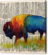 American Buffalo Iii On Vintage Dictionary Acrylic Print