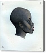 Amochi Galla, A Portrait Of A Galla Acrylic Print