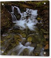 An Unkown Creek In The Feather River Canyon Acrylic Print