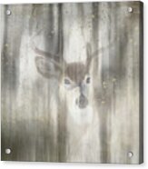 Antique Wildlife Deer 01 Acrylic Print