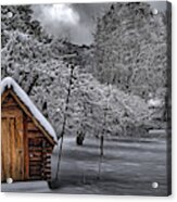 Apple Trees In The Snow Acrylic Print