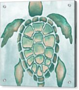 Aquatic Turtle I Acrylic Print