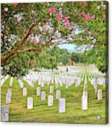 Arlington Cemetery 1 Acrylic Print