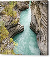 Athabasca Canyon, Jasper National Park Acrylic Print
