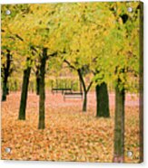 Austria, Vienna, Augarten, Leaves With Autumn Colors, Augarten Acrylic Print