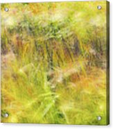 Autumn Breezes Acrylic Print