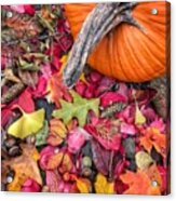 Autumn Harvest Acrylic Print
