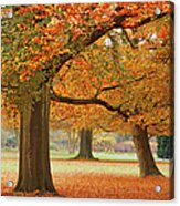 Autumn In Park Acrylic Print