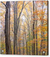 Autumn In The Smoky Mountains Acrylic Print