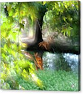 Autumn Leaves In The Morning Light Acrylic Print