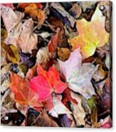 Autumn Leaves Acrylic Print