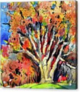 Autumn Oak Acrylic Print