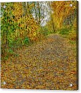 Autumn On Path #j2 Acrylic Print