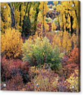 Autumn Panoramic Acrylic Print