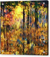 Autumn Reflections Acrylic Print