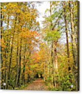 Autumn Trail Acrylic Print