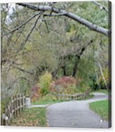 Autumn Transition 31 Acrylic Print