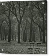 Autumn Trees In Hyde Park, London Acrylic Print