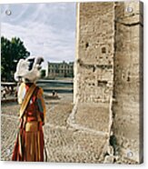 Avignon, France - Acrylic Print