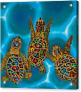 Baby Turtles Acrylic Print