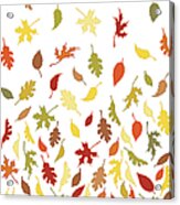 Background Pattern Of Falling Autumn Acrylic Print