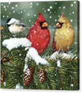 Backyard Birds On Snowy Branch Acrylic Print