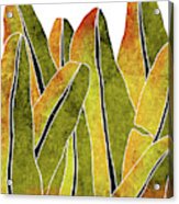 Banana Leaf - Yellow, Brown - Tropical Leaf Print - Botanical Art - Abstract - Modern, Minimal Decor Acrylic Print