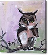 Barn Owl On A Branch Acrylic Print