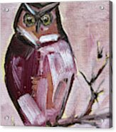 Barn Owl Acrylic Print