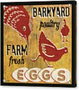 Barnyard Poultry Acrylic Print