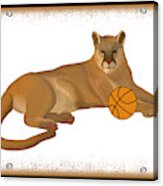Basketball Cougar Acrylic Print