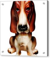 Basset Hound Dog Acrylic Print