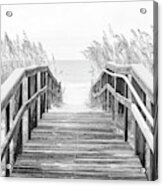 Beach Boardwalk And Sea Oats Grass Florida Panhandle Photo Acrylic Print