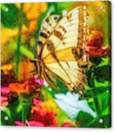 Beautiful Swallow Tail Butterfly Acrylic Print