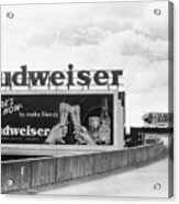 Billboard Advertising Budweiser Beer Acrylic Print